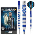 Red Dragon Gerwyn Price Original Dart Blue Switch