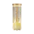 Head Tour Tennis Ball 3 Ball Can